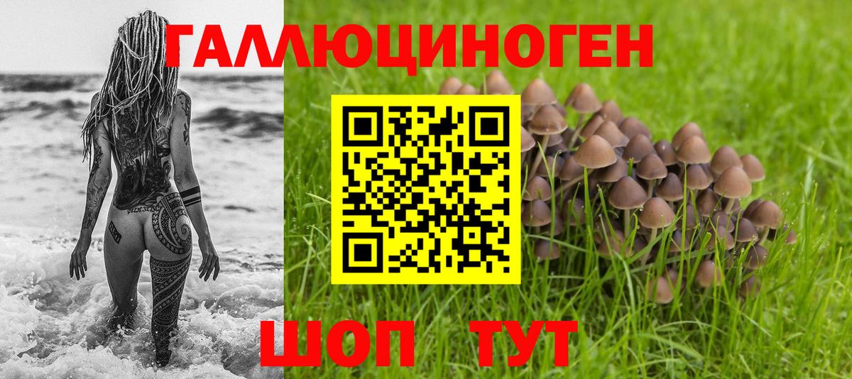 Псилоцибиновые грибы ЛСД  Вход с VPN  Советск 